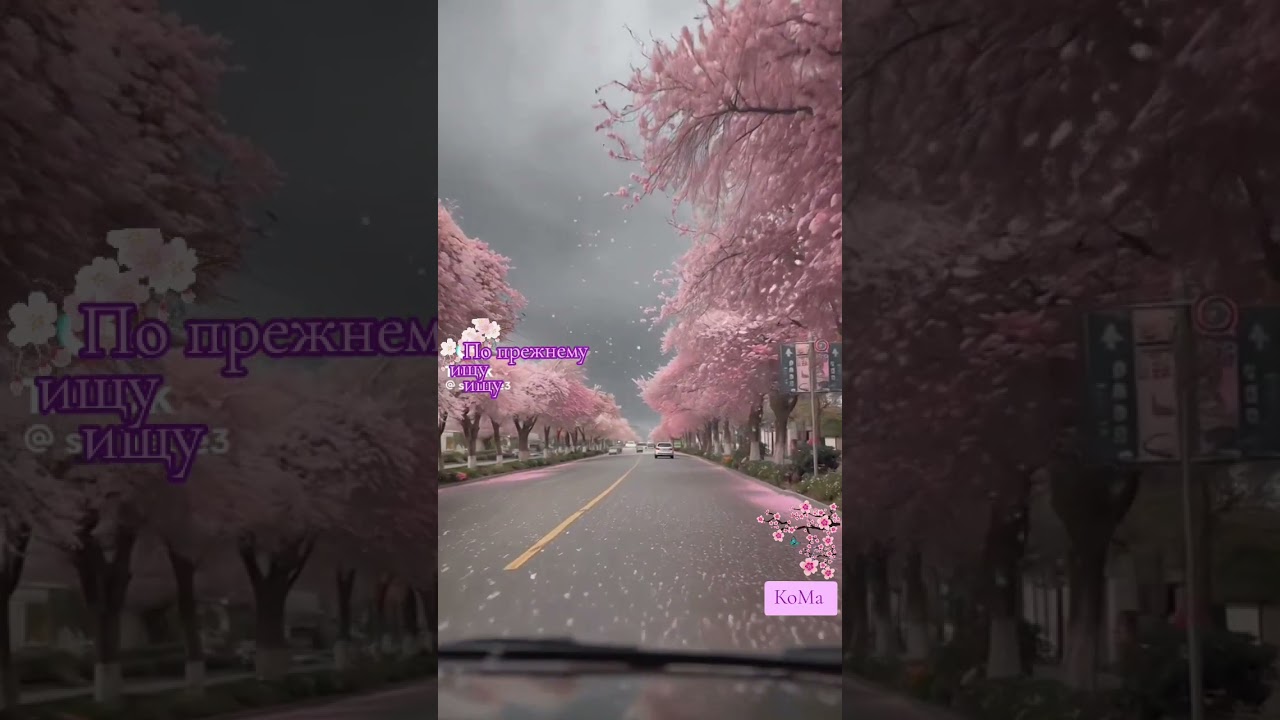 По прежнему ищу 🧐 КоМа🫣