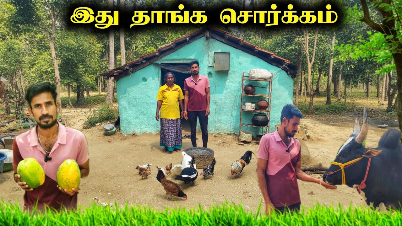 🌳 விரும்பி செய்யும் விவசாயம்! நிறைவான சந்தோஷம்...🤗 