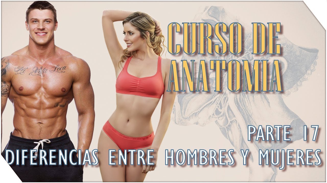 Diferencias entre Hombres y Mujeres | Curso de Anatomia #17 | Sergio Hualde