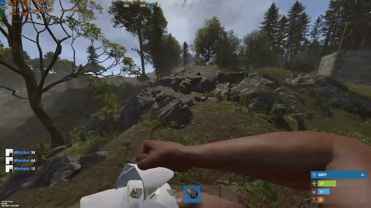 Ryzen 7 9800X3D  + RTX 4070 TI DDR5 6000 (cl36)  RUST QHD FPS test