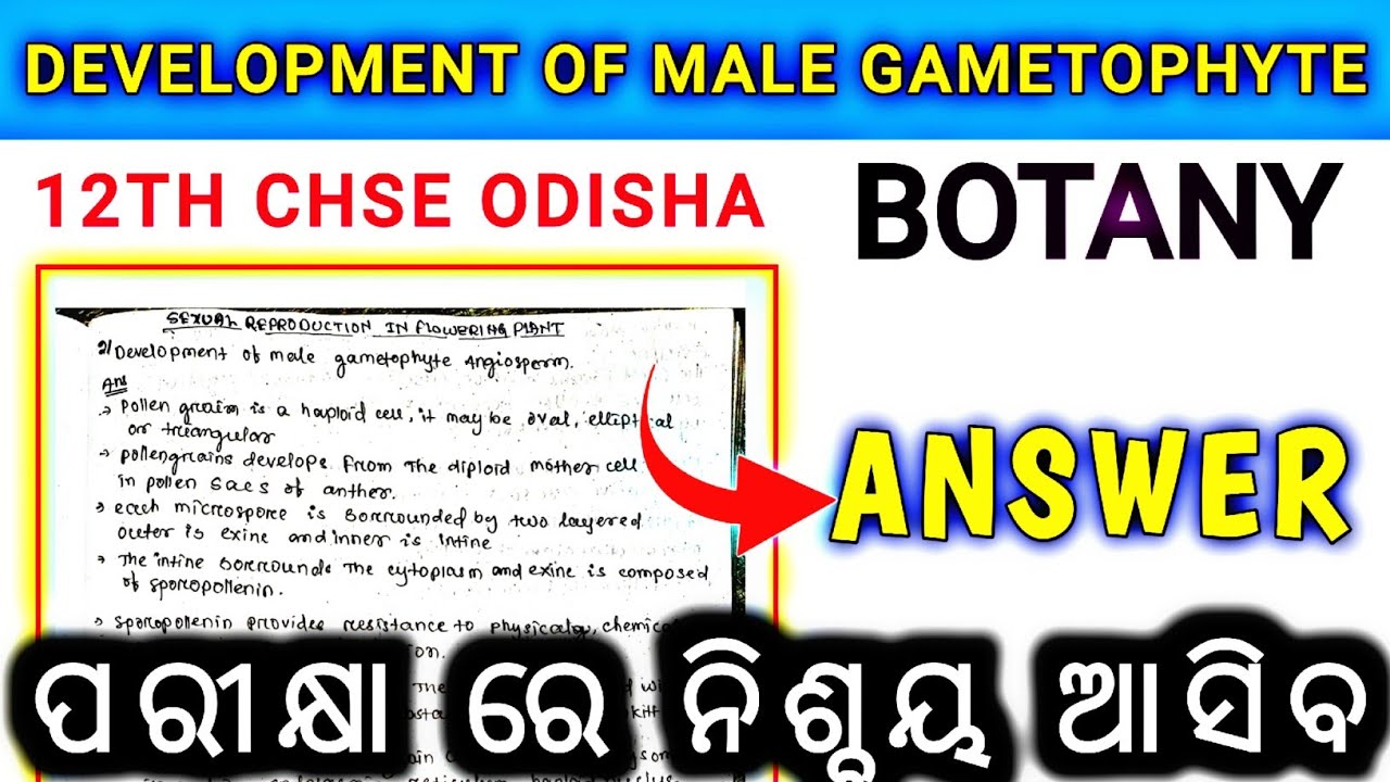 DEVELOPMENT OF MALE GAMETOPHYTE | BIOLOGY | SELECTIVE LONG QUESTION FOR CHSE EXAM 2025 | #bsclasses