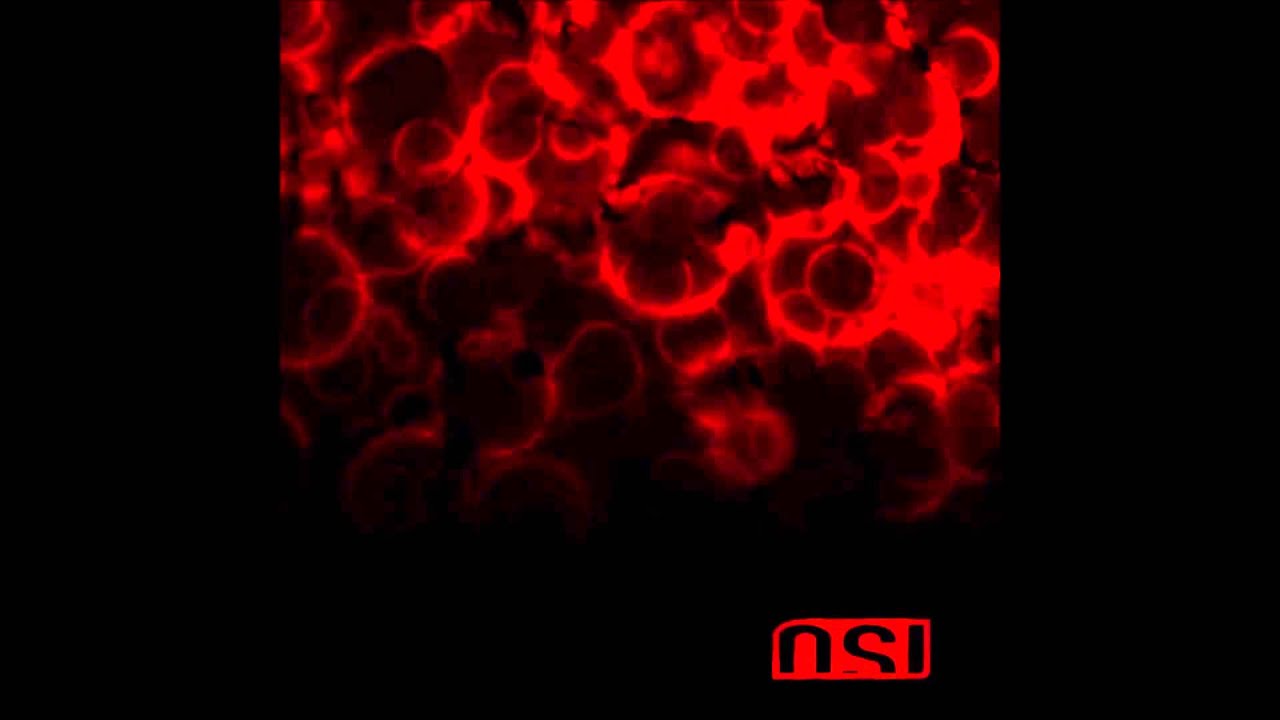 OSI - Radiologue