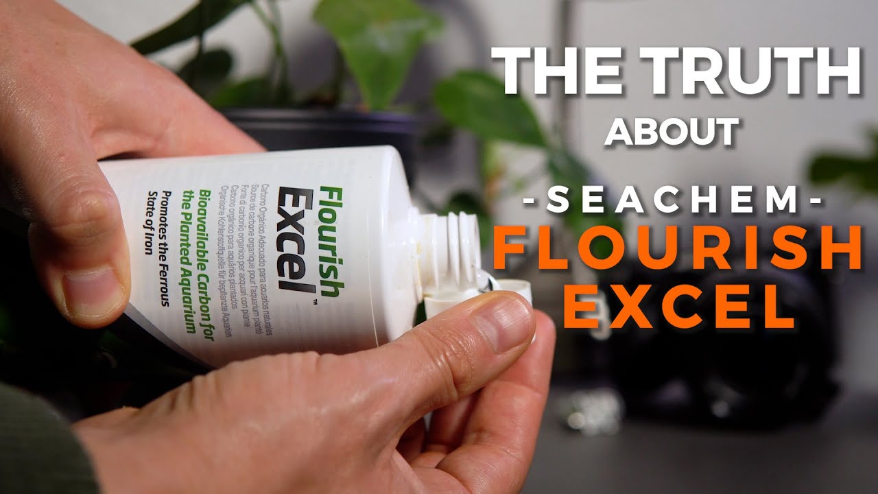 Flourish Excel | The Truth