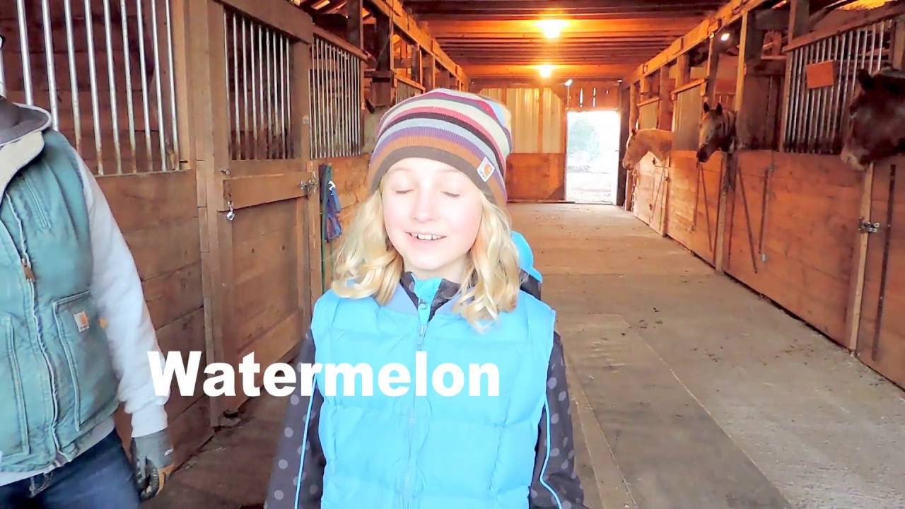 Horses Eating People Food