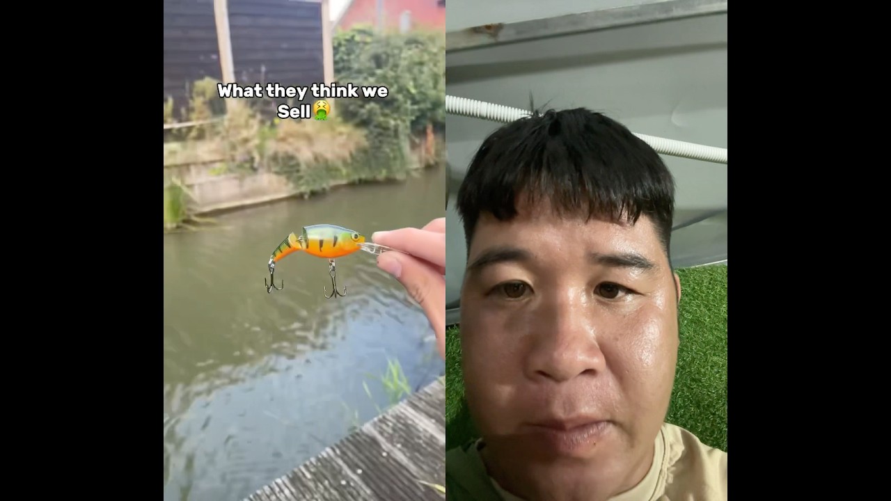 Bait fish good #bait #fishing #collab #viralvideo #videoshort #phukingkong