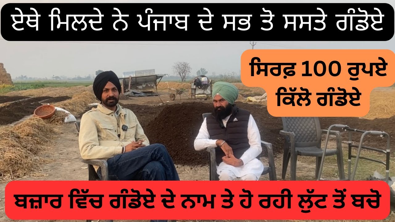 ਏਥੇ ਮਿਲਦੇ ਨੇ ਪੰਜਾਬ ਦੇ ਸਭ ਸਸਤੇ ਗੰਡੋਏ || Vermicompost Tarn Taran || @Pendukitta