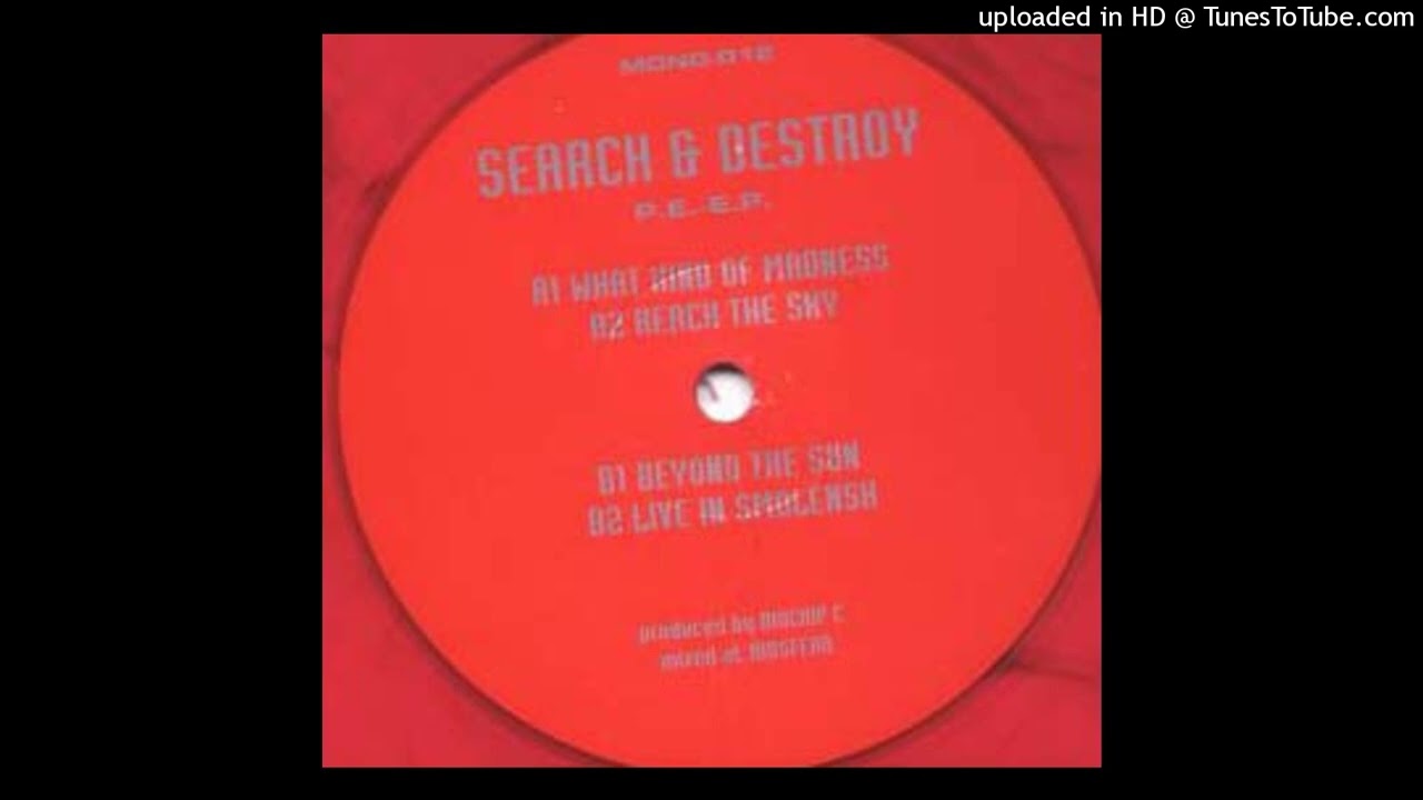 a1-search_and_destroy--what_kind_of_madness
