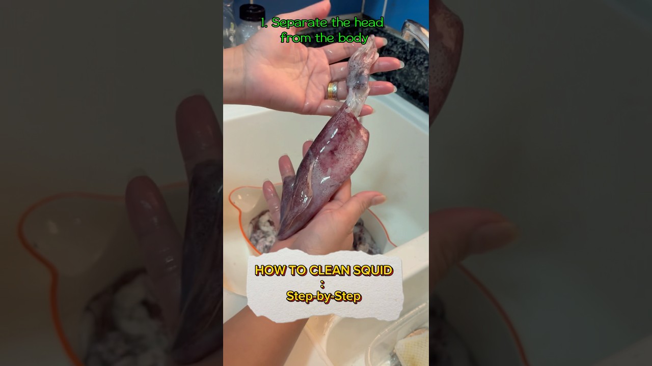 Learn how to clean squid with this easy-to-follow tutorial #GuideForBeginners #shorts #shortvideo