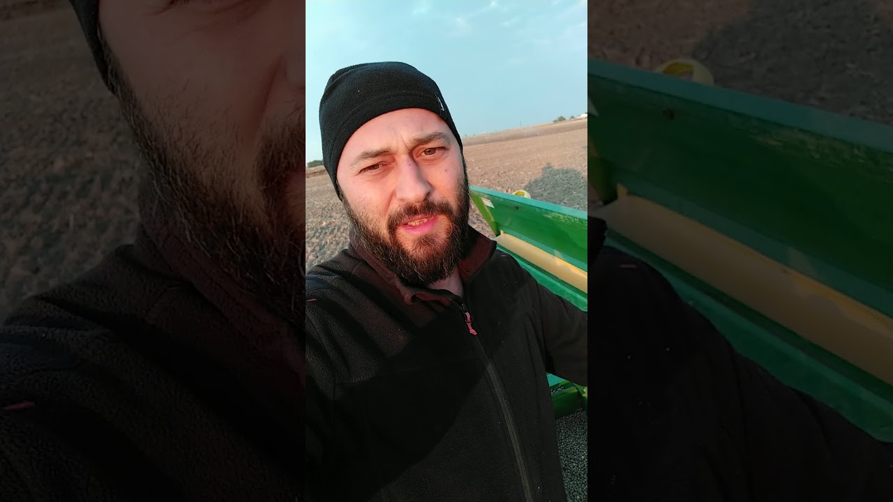 Yem Bezelyesi ekimini ben b&ouml;yle yapıyorum