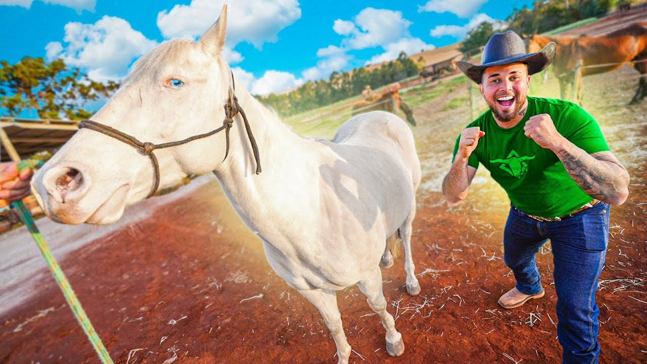 MEU NOVO CAVALO BRANCO DE OLHOS AZUIS CHEGOUUU !!! 🤠❤️😍 * vocês vão dar nome pra ele *