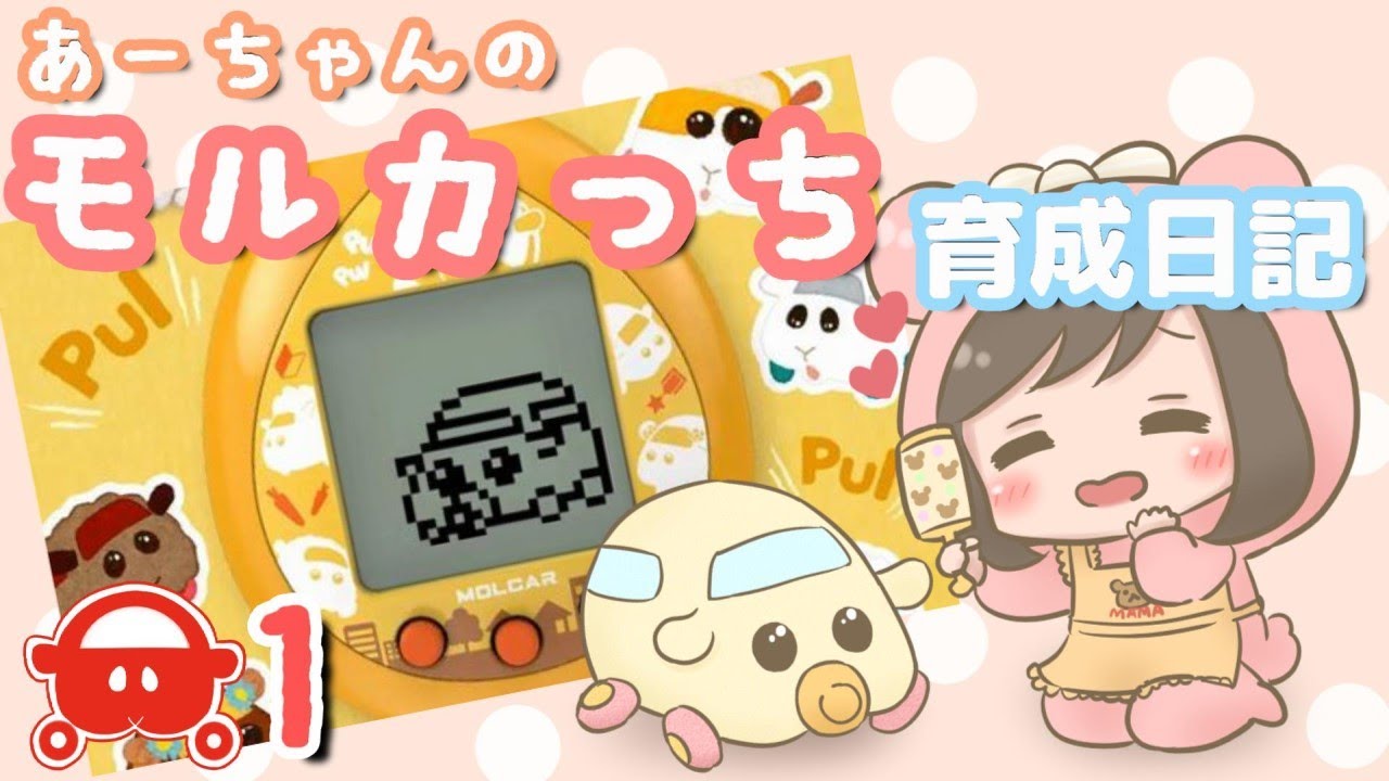 【PUIPUI モルカー】モルカーのママになりました！【あーちゃんのモルカっち育成日記】＃1
