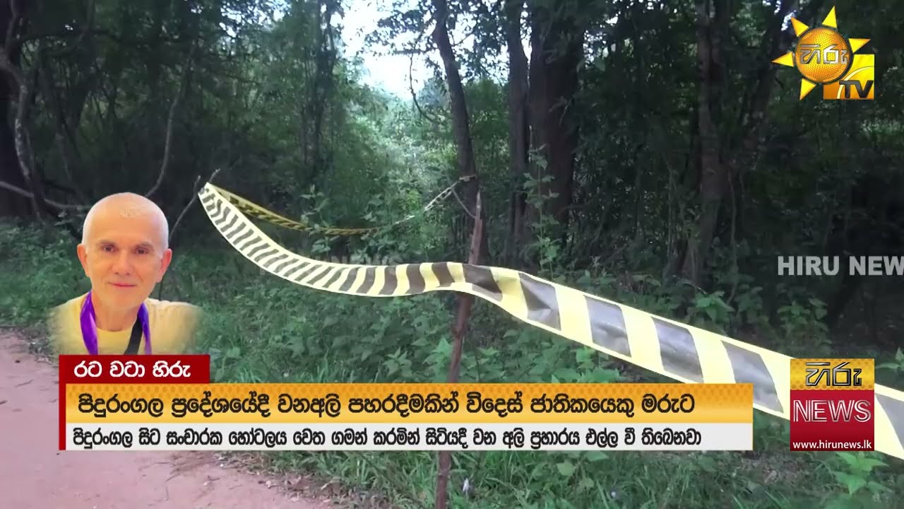 පිදුරංගලදී අලි ගහලා විදෙස් මහාචාර්යවරයෙක් මරුට - ''ඇම්බියුලන්ස් එකේ රියැදුරු මහත්තයා නෑ කිව්වලු