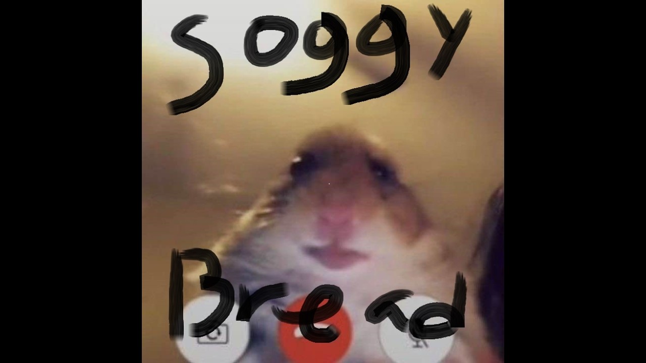 This bread is looking soggy..