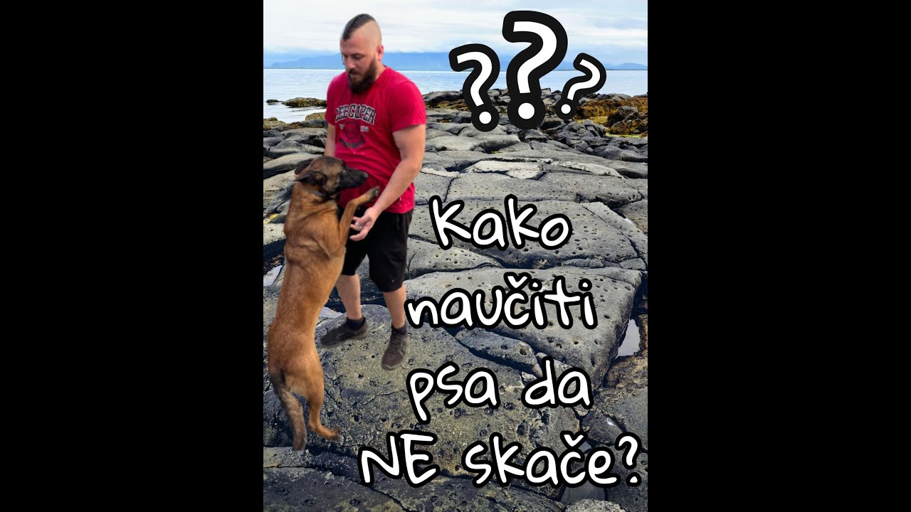 KAKO NAUČITI PSA DA NE SKAČE PO VAMA