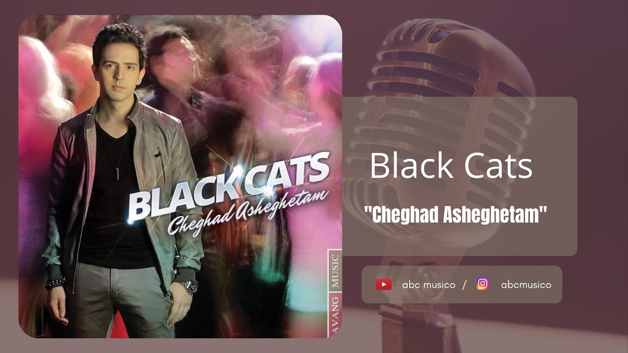 Black Cats - 