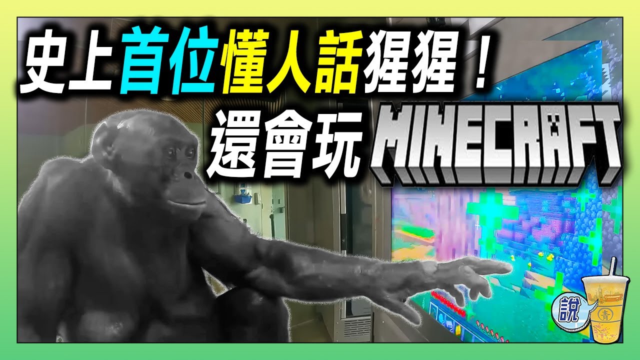 史上第一隻聽懂人話的猩猩，還會玩遊戲(Minecraft)!! /  科學家花40年，證明猩猩也能「懂人話」/ 一隻猩猩，揭開了語言的秘密 | 青茶說