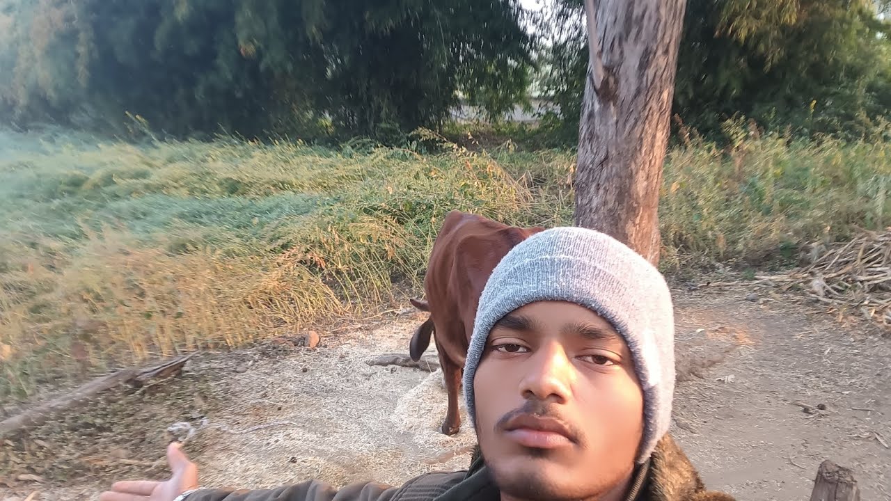 365 Day Chellenge Day 84 Aajh To Jivan Key Aalsi Pilai🌾🌾 #trending #vlog 