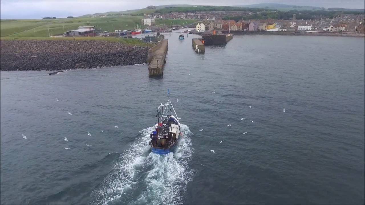 Prawners heading into Eyemouth Harbour