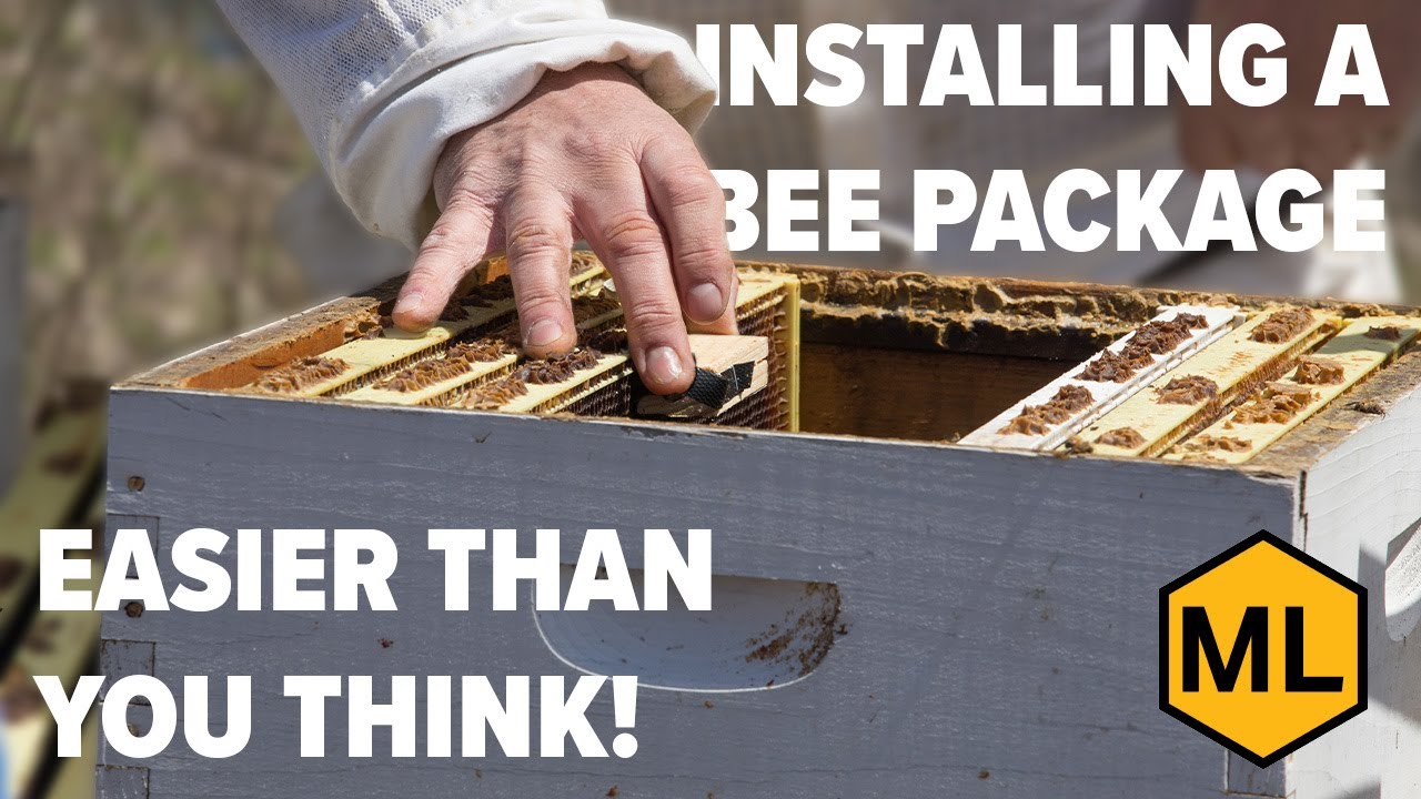 Installing Bees with the Plastic Bee Bus &ndash; Bee Package Setup
