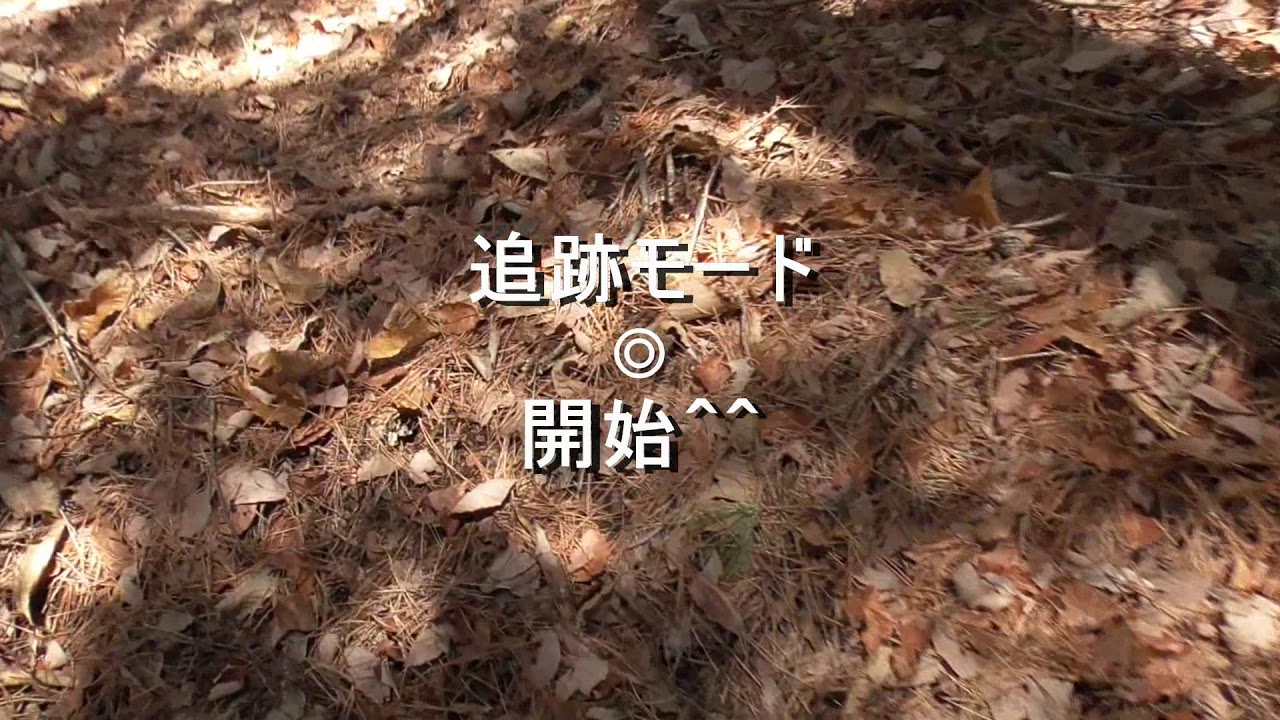 （山歩き回）（ゆかマキ解説）変態忍者の、狩猟＆有害鳥獣駆除従事活動記・その６９
