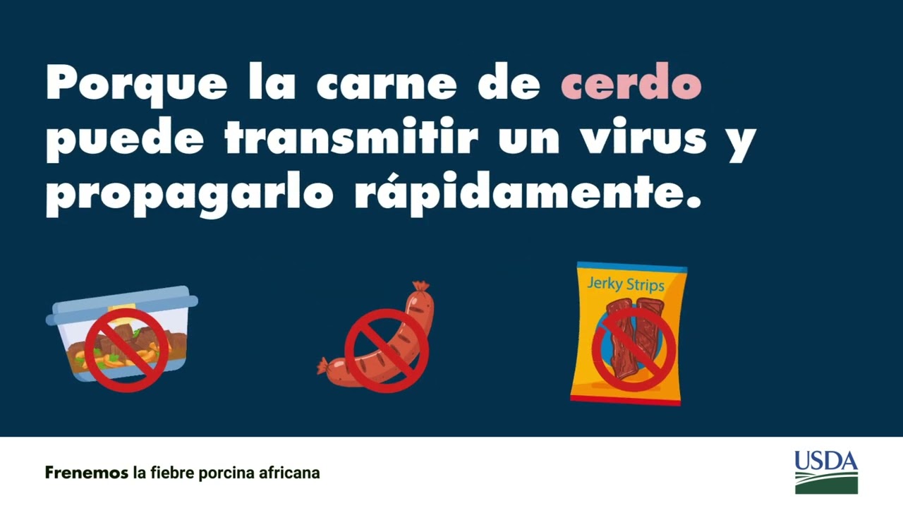 Frenemos la fiebre porcina africana