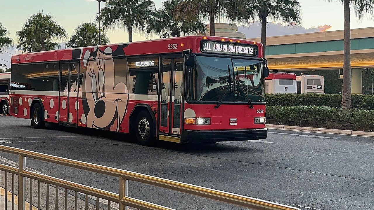 Disney Buses at Hollywood Studios 