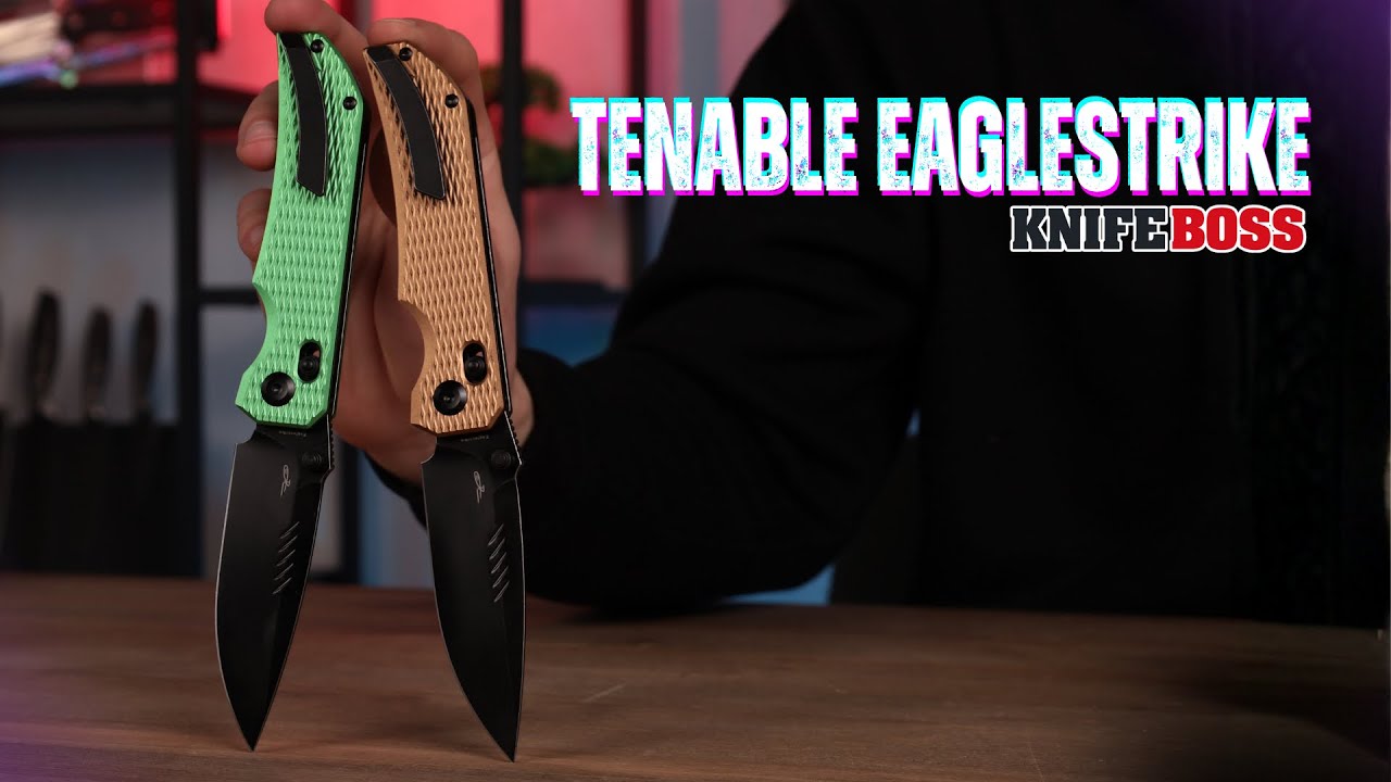 Огляд Tenable Eaglestrike | Який варіант обрати?