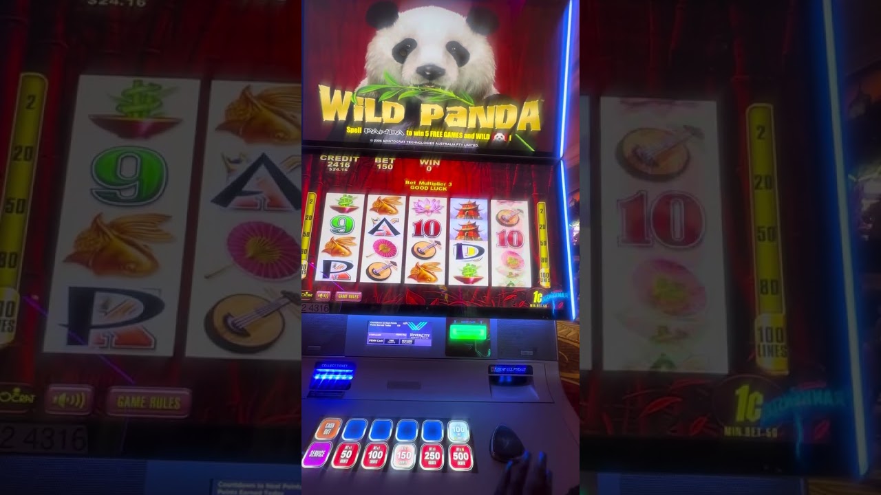 🐼WILD‼️PANDA SLOTS🎰