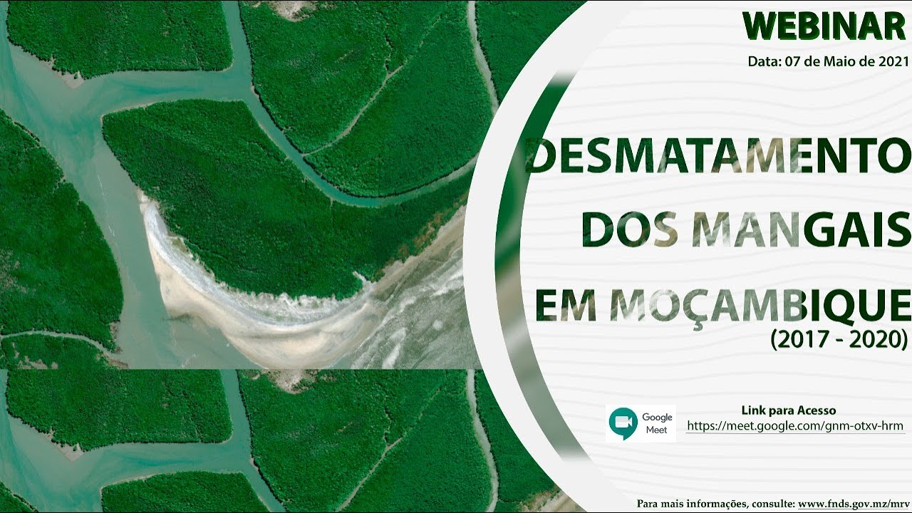 Webinar sobre Desmatamento dos Mangais em Moçambique
