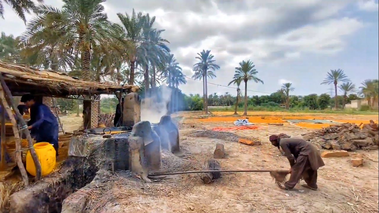 Nature Beauty: Dates Cultivation (Khajoor ke Kaasht) Khairpur Mir's (Sindh Pakistan) + Soulful Music