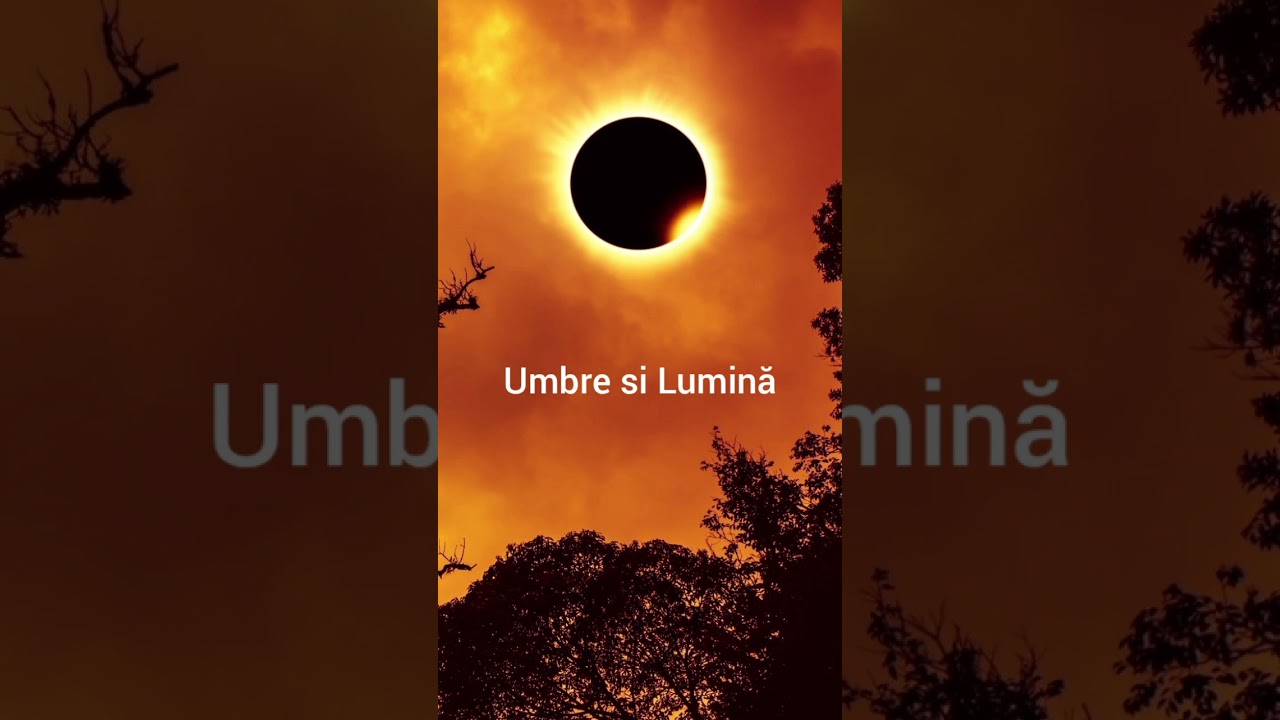 Dima--Umbre si Lumină 