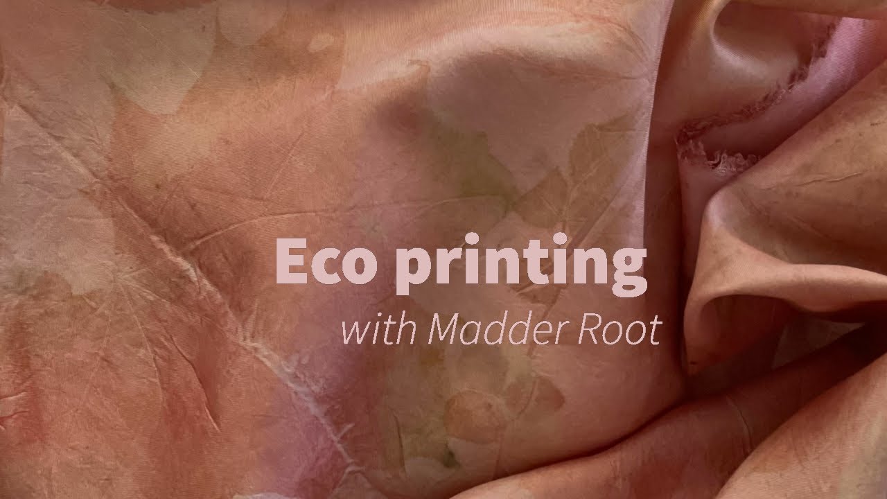 Eco printing with madder root