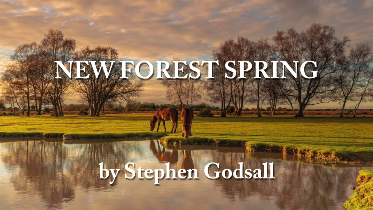 NEW FOREST SPRING | A photo and musical portrait of the changing landscape