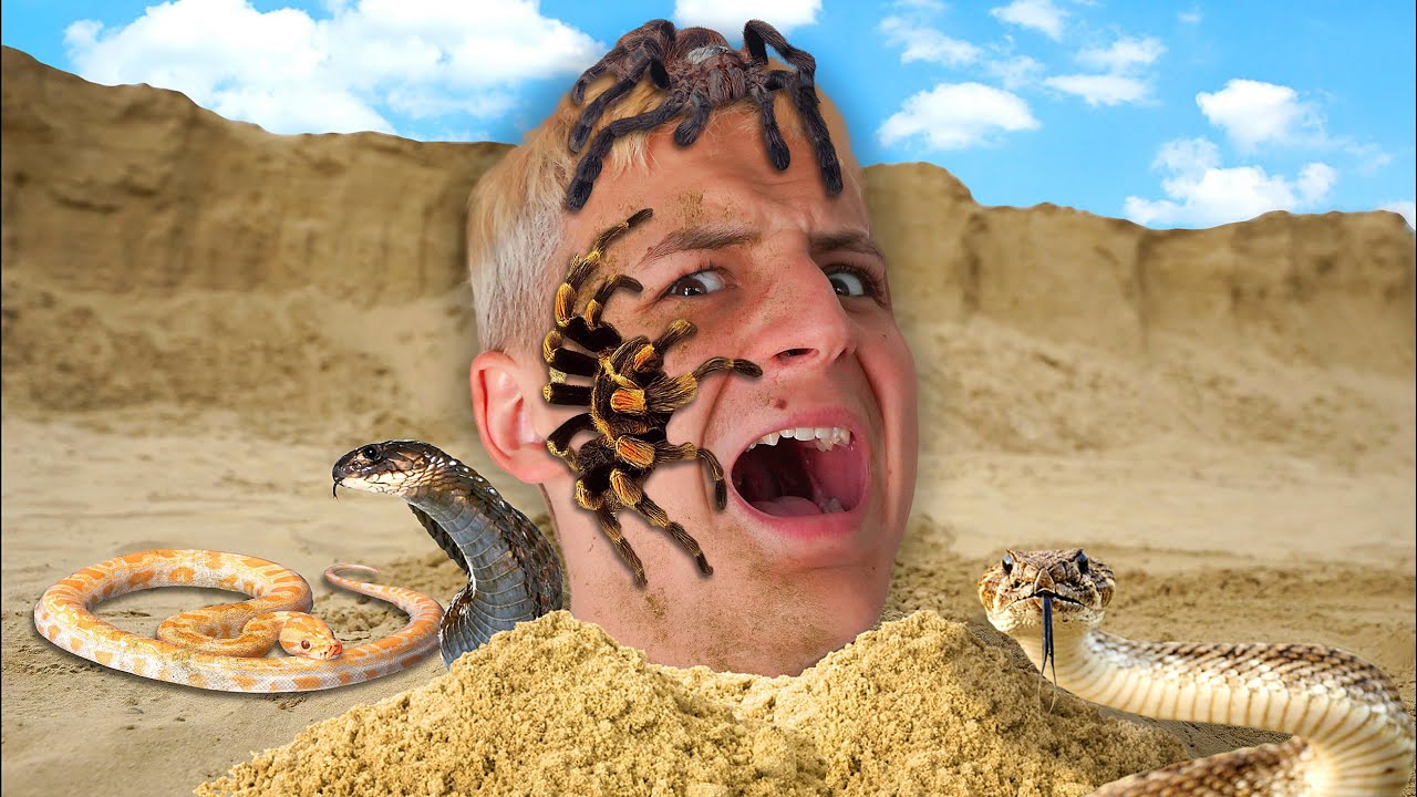 Ha Kim&aacute;szol, Vesztesz!🐍🕷