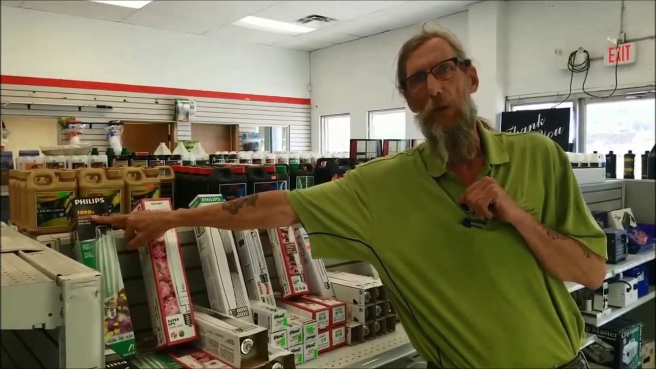 Sodium vs Metal Halide Lamp