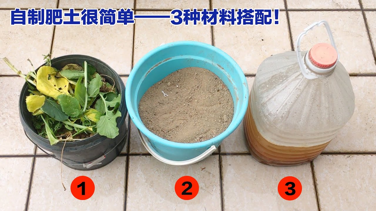 【家庭种菜】自制简单肥土，3种材料搭配，效果比买的营养土还好|Self made fertile soil