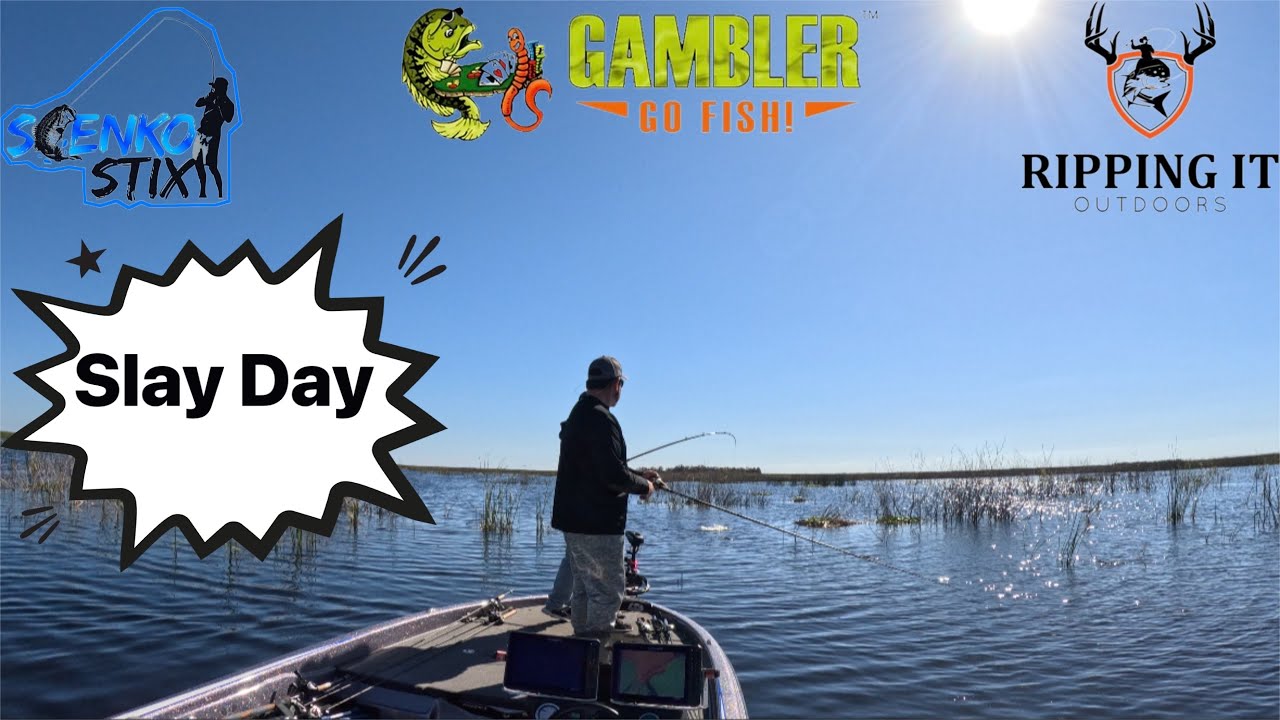 INCREDIBLE Topwater FROG Fishing.. Who needs Forward Facing Sonar?? (Lake Okeechobee)