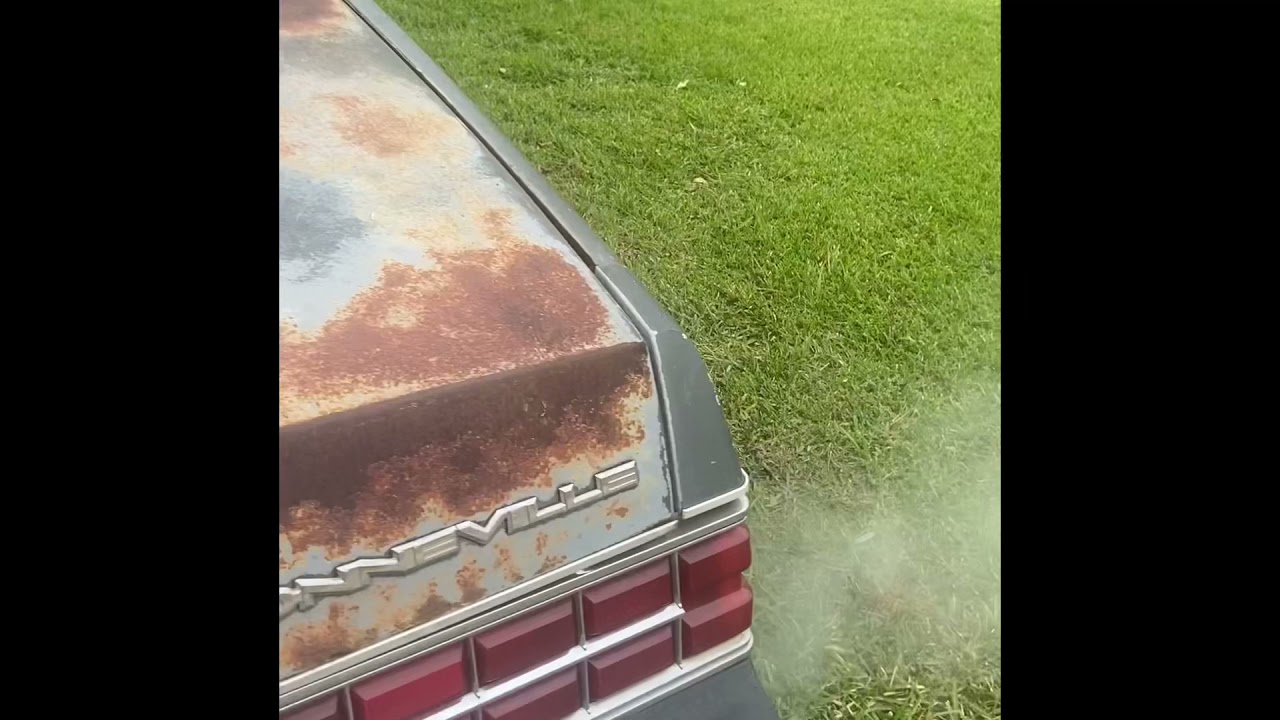 86 bonneville “New Project”