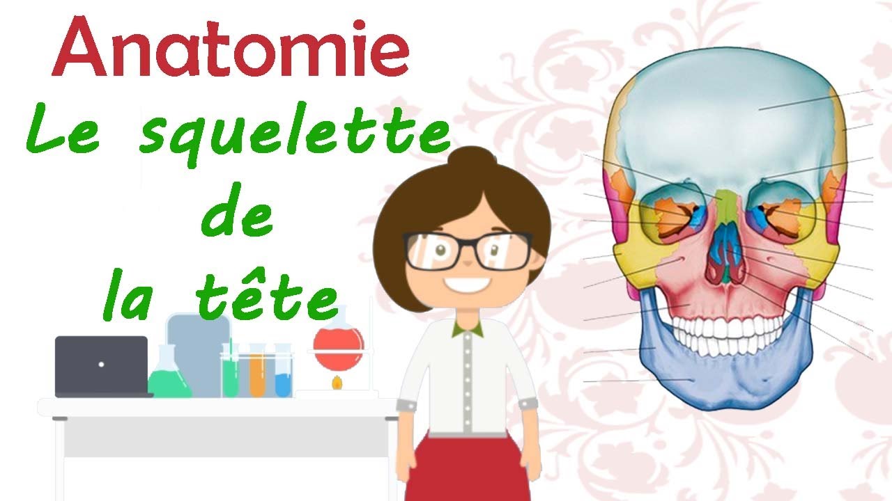 Anatomie | Apprendre tout les os de la tete dans 1 seul vidéo ostéologie du crane 2éme année médecin