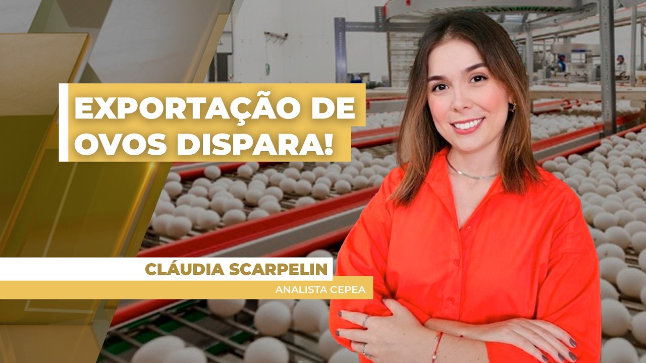 Exportações de ovos crescem 30,9% em janeiro e receita supera US$ 6,4 milhões