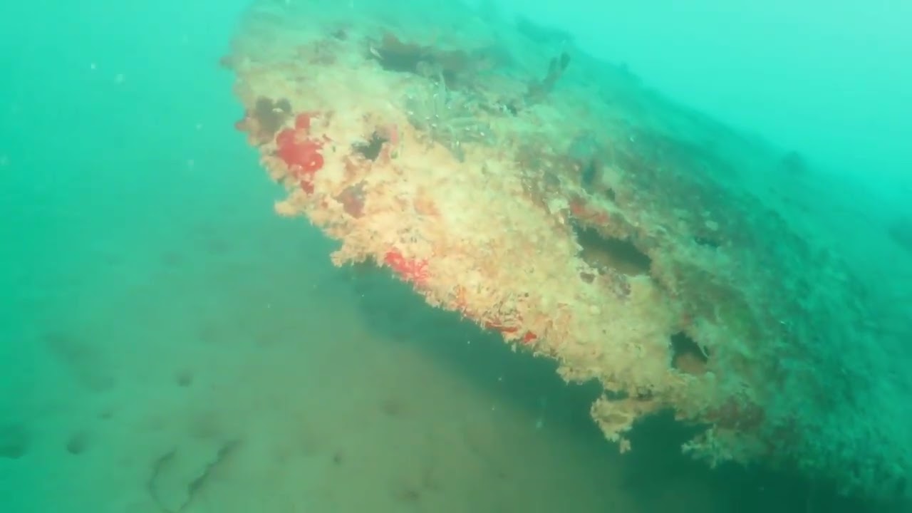 Hayabusa Nakajima Aircraft Wreck - Busuanga, Philippines (11-2-2025)