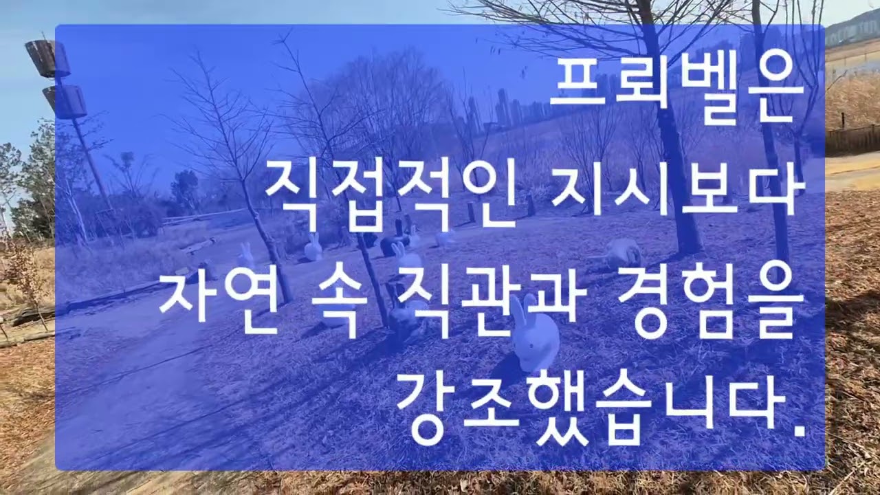 유아숲교육은 어떻게 이루어지는가? #유아숲교육 #유아숲교육방법