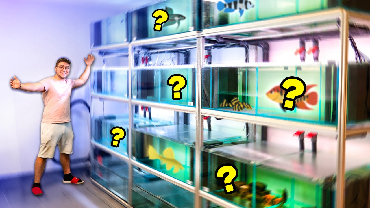 Le GRAND déménagement des POISSONS dans les nouveaux AQUARIUMS