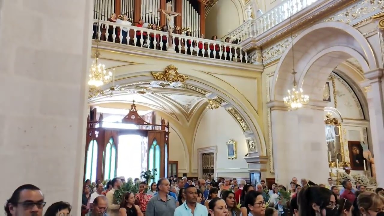 Cantos gregorianos (Catedral de Aguascalientes) ~ Hijo de David