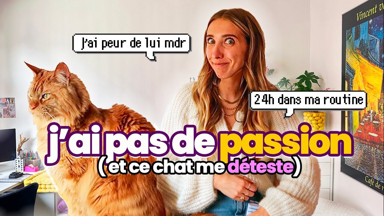 ROUTINE AVEC UN CHAT AIGRI (bruits du quotidien)