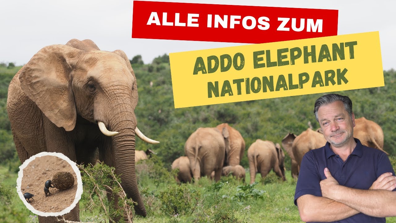 Addo Elephant Nationalpark alle Informationen zum Besuch des Parks