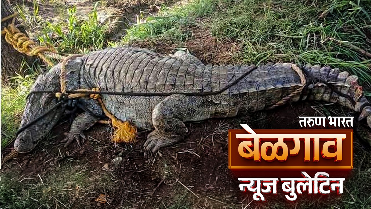 बेळगाव न्यूज बुलेटिन | Belgaum News Bulletin | 17-06-2026