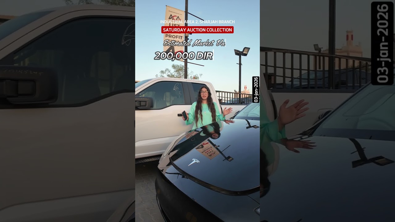Еще один захватывающий аукционный день в Al Qaryah Auction 🚦