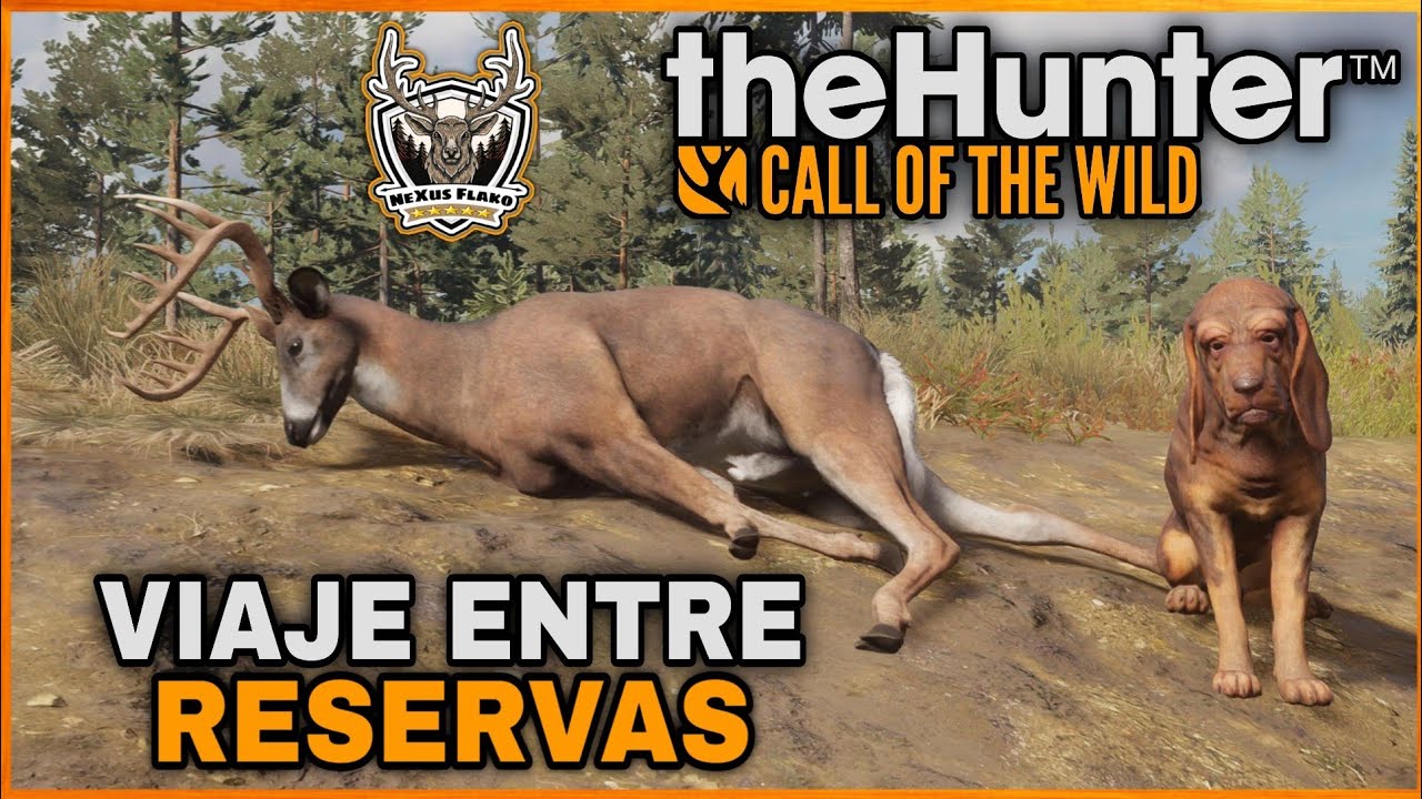 🔴🇪🇦🔴Un poco de caza entre reservas🦌💎|THE HUNTER CALL OF THE WILD-PS5