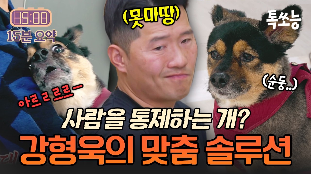 제 입맛대로 사람을 휘두른다?! 통제광 반려견💥강형욱의 완벽 솔루션✨| #개와늑대의시간2 14회